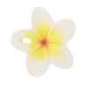 OLI&CAROL Mini Hrýzatko Hawaii the Flower 201000 - Image 2